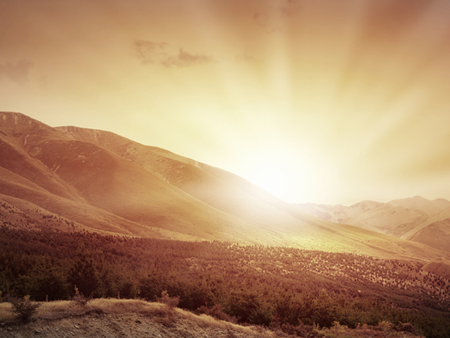 Laser Hair Removal, Skin Tightening, Acne Treatments Baton Rouge, LA